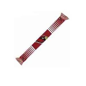 FOCO NFL Arizona Cardinals Big Logo Stripe Team Scarf MM2
